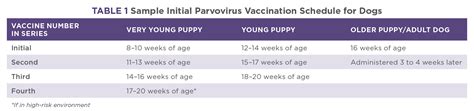 parvo test results|Canine Parvovirus: Testing, Treatment, and Prevention.